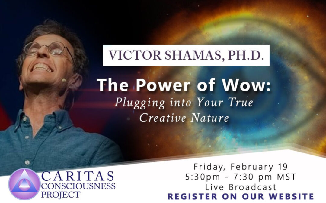 February 19  The Power of Wow: Plugging into Your True Creative Nature with Victor Shamas, Ph.D.