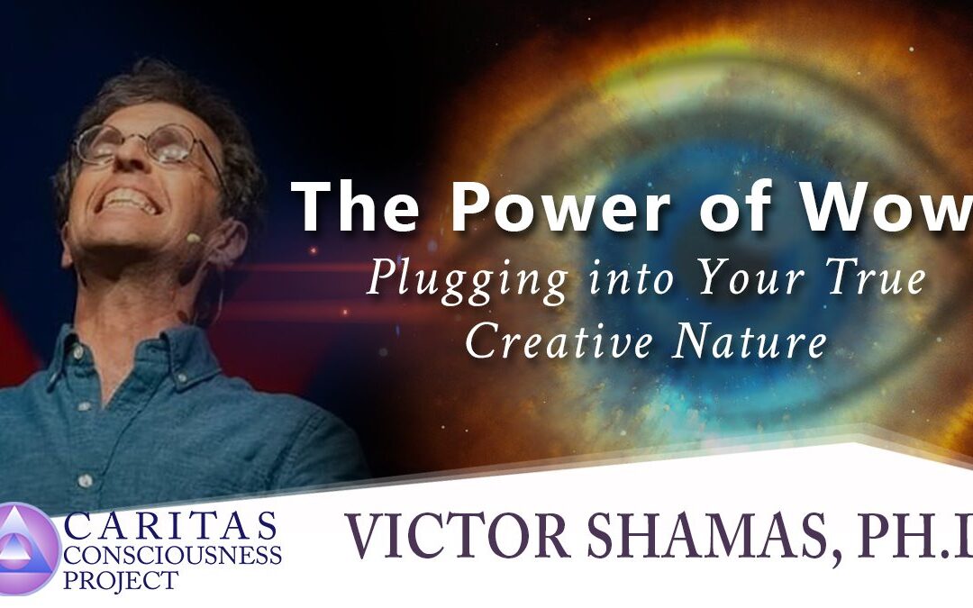 The Power of Wow: Plugging into Your True Creative Nature with Victor Shamas, Ph.D.