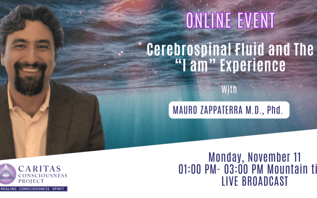 NOV 11 – Cerebrospinal Fluid and The “I am” Experience With MAURO ZAPPATERRA M.D., Phd.