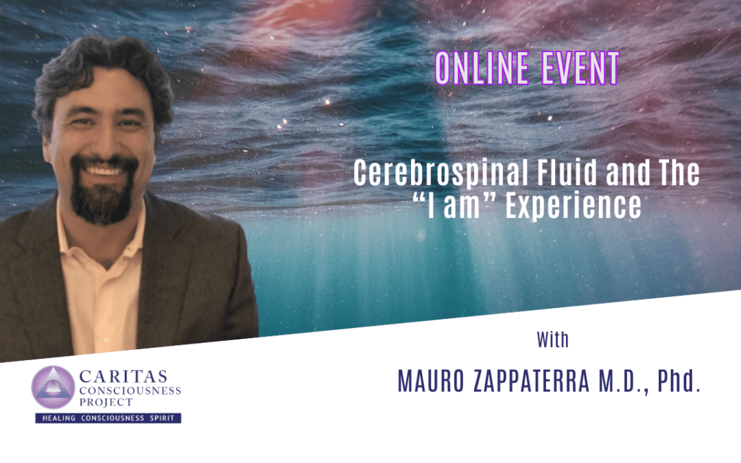 NOV 11 – Cerebrospinal Fluid and The “I am” Experience With MAURO ZAPPATERRA M.D., Phd.